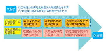 生物医学大数据发展的新挑战与趋势